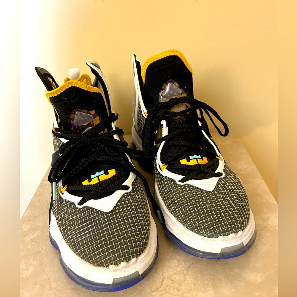 Nike LeBron 19 Graduate Size 8.5 Men’s EUC